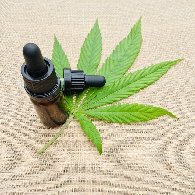 cannabis, weed, marijuana