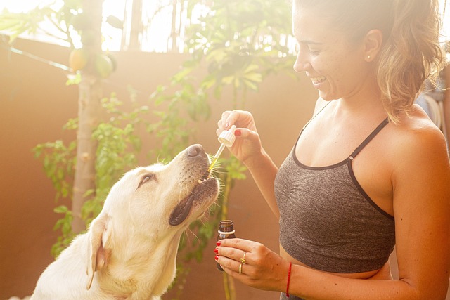 Optimizing Wellness with THCA Flower: A Guide to Sourcing and Dosage