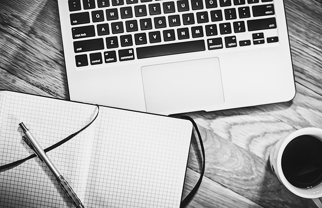 Boosting Niche Authority: PBNs and Content Strategies for Increased Web Traffic