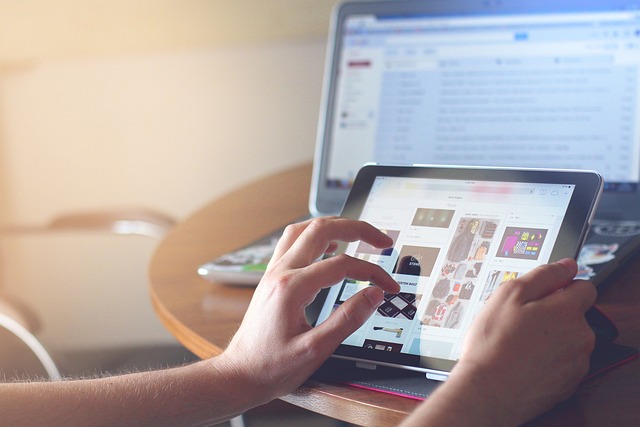 Strategic Alliances and Reputation Management through Private Blog Networks