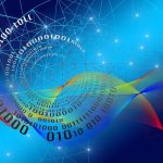 Harnessing Expert Insights for PBN Development: A Strategic Guide