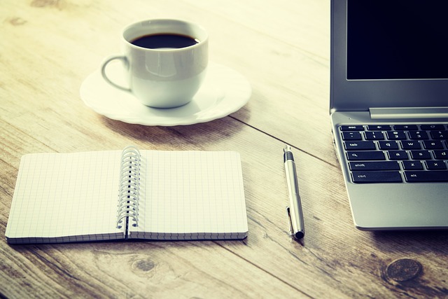 Maximizing Revenue with Advertising: A Guide to Building Client-Focused PBNs