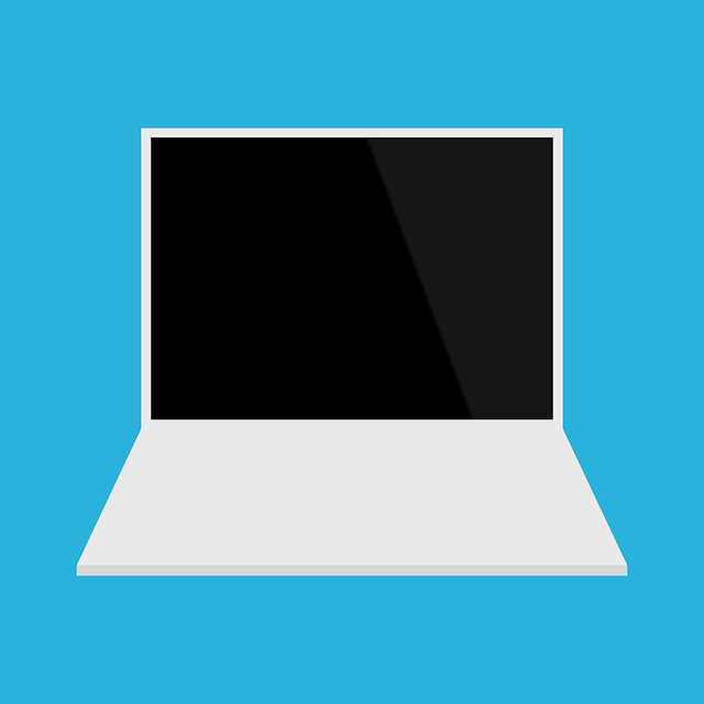 Maximizing Website SEO and Income through Strategic PBN Use