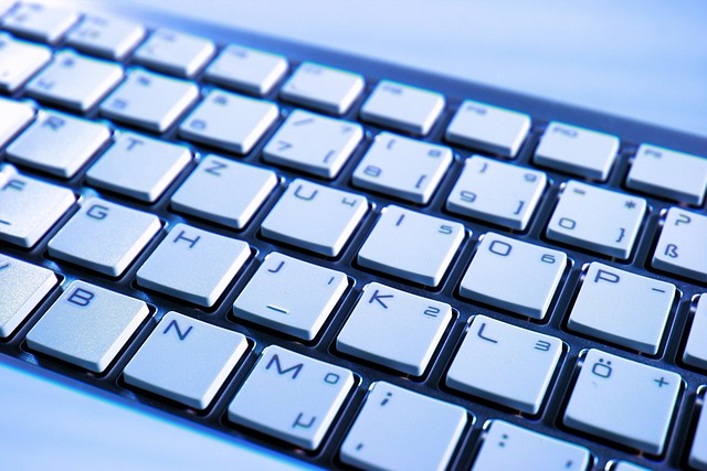 Optimizing Private Blog Networks for Enhanced Knowledge Exchange and User Engagement