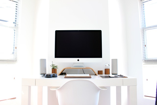 Leveraging Private Blog Networks for Authority and Influence in Thought Leadership