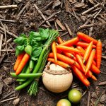 Amazon Groceries: Seamless Shopping, Fresh Deliveries, Eco-Friendly Choices