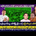 ဒီဇင်ဘာလ (၂၈) ရက် မနက်ခင်းသတင်းများ