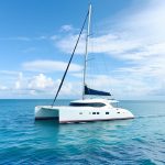 Build Your Own Catamaran: A Step-by-Step Guide to Unique Watercraft Creation