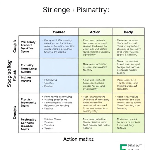 Six Sigma Action Priority Matrix