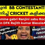 ഒരു കിടിലൻ ബിഗ്ഗ്‌ബോസ് മലയാളം ക്രിക്കറ്റ് കളി ഉടൻ വരുന്നു | Bigg Boss Malayalam Season 7