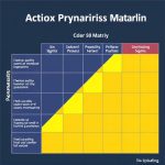 Mastering the Six Sigma Action Priority Matrix: Avoiding Common Traps