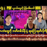 လေဘဲတွေကို ဘတ်တစ်သိန်းနဲ့ ဆုကြေးထုတ်ပြီ ၊ မေလ (၁၅) ရက်နေ့ မနက်ပိုင်းသတင်းများ