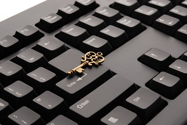 Build Authority Across Niches: Private Blog Network Secrets