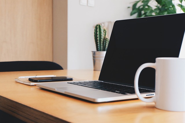 Boost Online Presence: Strategies for Industry Dominance via PBN
