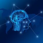 Maximize Digital Marketing: Promot[e] Physical Products via Private Blog Network