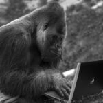 Optimize Event Promotion: Harness Private Blog Networks for Traffic Growth