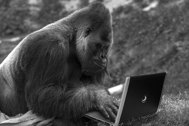 Optimize Event Promotion: Harness Private Blog Networks for Traffic Growth