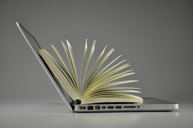 Diversify Online Income: Leverage a Professional Business Network for Affiliate Marketing Success