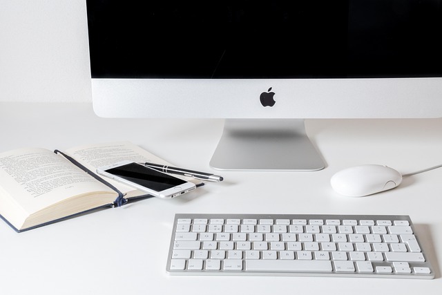 Boost Loyalty: Establish Niche Credibility via Private Blog Network