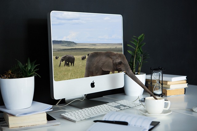Enhance Credibility: Mastering Private Blog Networks for Guest Posting Success
