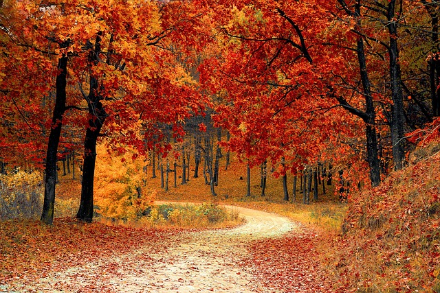 hiking-640x480-62138636.jpeg