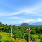 Uncover Srilanka’s Wonders: Guided Tours for Memorable Journeys
