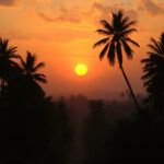 Discover Sri Lanka’s Village Charm: Culture, Cuisine & Crafts