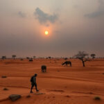 Traveling to Sudan: Essential Vaccinations and Health Tips