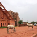 Khartoum’s Treasures: Sudan’s Historical, Cultural, and Natural Charms