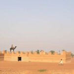 Sudan’s Peak Birdwatching Seasons & Hotspots Revealed