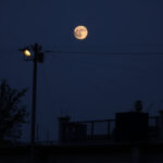 4th of July: TikTok Dances to Virtual Fireworks Fashion