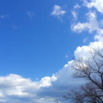 Unleash Holiday Joy: Limited Time Weather Offers Today