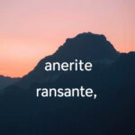 Maximize Holiday Gift Cards Before They Expire