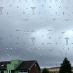 Autumn Leaf Peering: Weather-Inspired Nature’s Artistry Tour