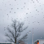 Autumn Leaf Peering: Timing Your Scenic Escape with Weather