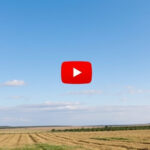 YouTube & Baking Classes: Holiday Traditions Virtually