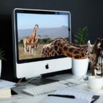 Diversify Online Income: Affiliate Marketing with PBN Strategies