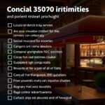 Master Brunch Gatherings: Local SEO & Large Party Strategies