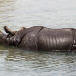 Unveiling Nepal’s Treasures: Nature, Culture, and Spirit