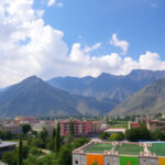 Pakistan’s Cricket Legends: Iconic Players Through the Years