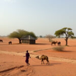 Sudan Travel: Essential Vaccinations for a Safe Journey