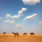 Empowering Sudan’s Communities: Local Support Strategies