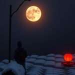 TikTok-Inspired BBQ Fun: Creative Party Ideas for Your Yard