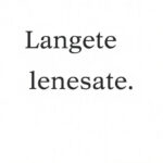 Black Friday Fitness Gear: Unlocking Potential with Smart Choices