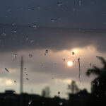 Summer Adventures: Explore Weather-Friendly Tours for Every Interest