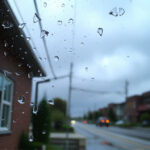 Summer Savors: Warm Weather Grill Specials for Every Taste