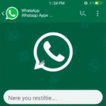 WhatsApp Alerts: Last Chance for Summer Deals