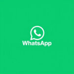 Spring Flowers & Back-to-School Deals: Shop via Whatsapp Web