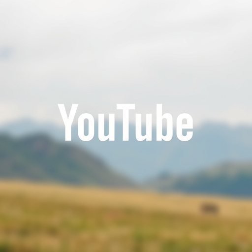 youtube youtube