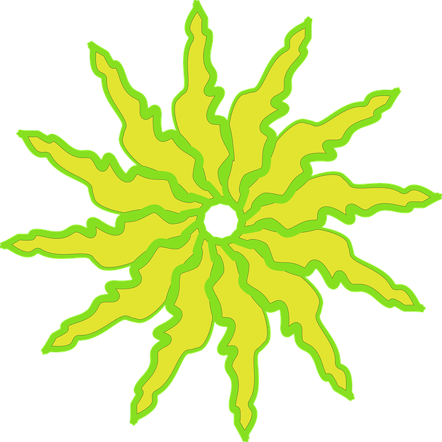 excel basics tutorial